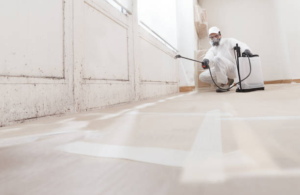 24/7 Emergency Mold Remediation experts in Thornton, IL